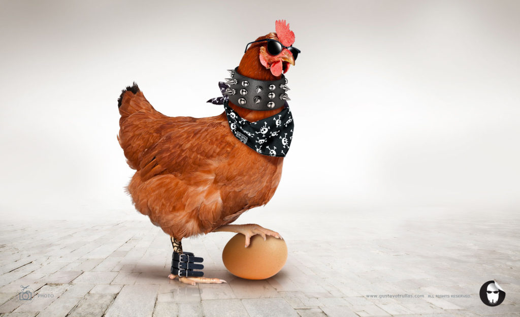 Chicken